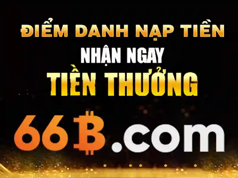 66B la gi?