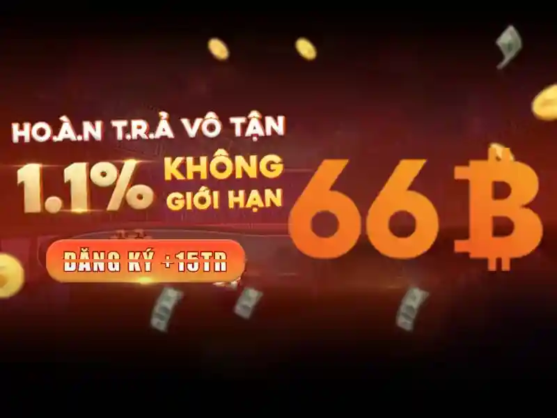 66b và hành trình của một con số