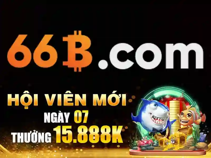 66B là gì?