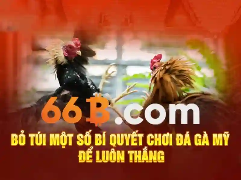 66b: một ký hiệu đa lĩnh vực trong công nghệ và khoa học