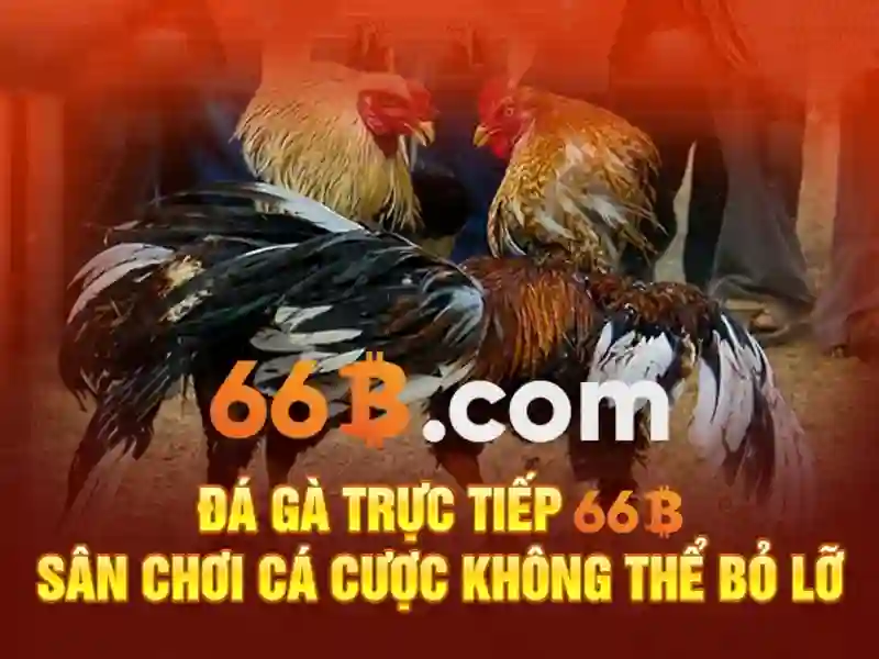 Mẹo chơi bắn cá 3 cây dễ ăn tiền nhà cái