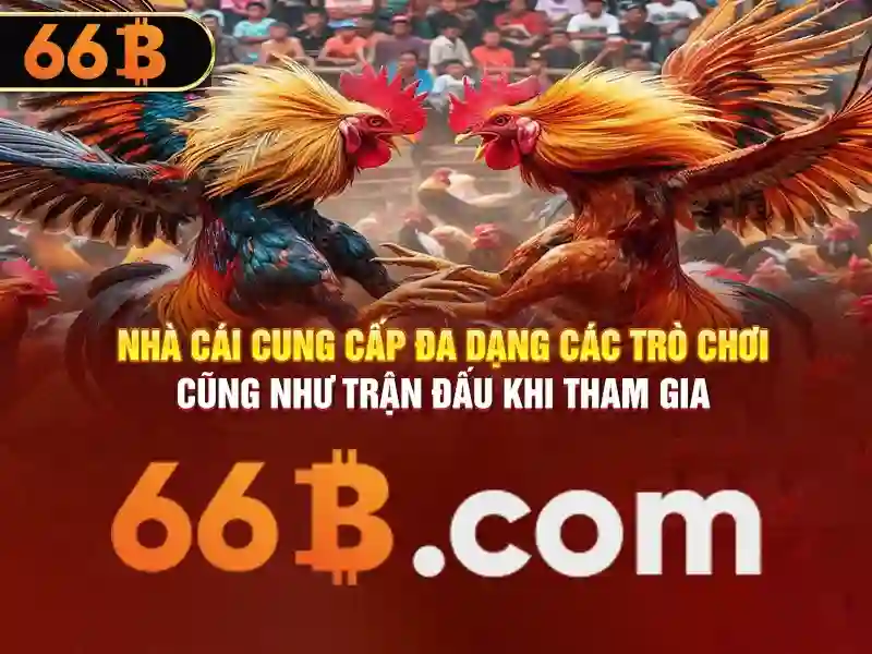 66b: một khái niệm và ứng dụng trong công nghệ