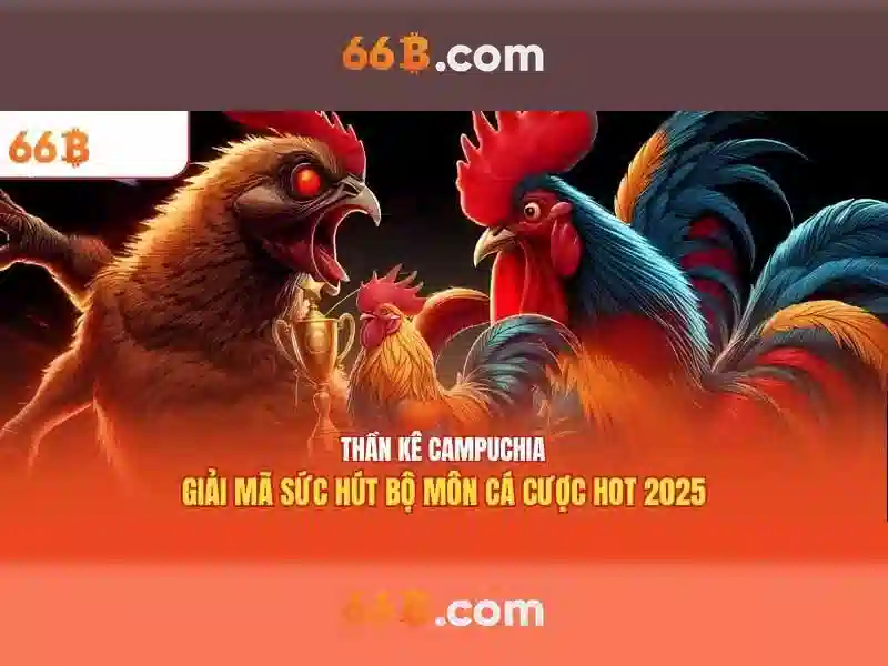 66B trong ngôn ngữ tự nhiên: cái nhìn tổng quan