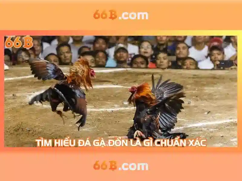 66b: Khám phá mô hình ngôn ngữ 66b và tương lai của trí tuệ nhân tạo