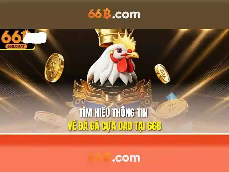 66b: Khái niệm, lịch sử và ứng dụng