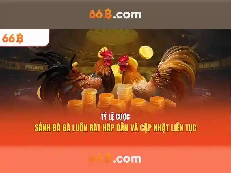 Kích thước và kiến trúc của 66B