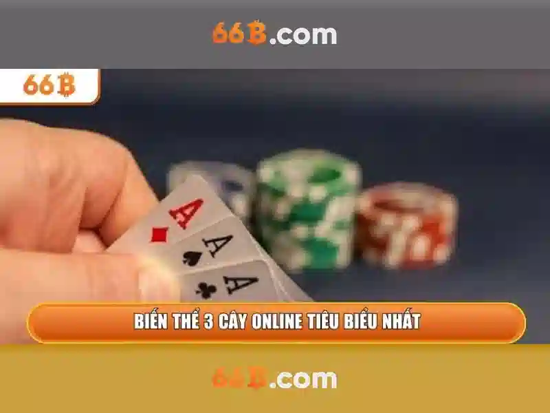 Kích thước và kiến trúc tổng quát