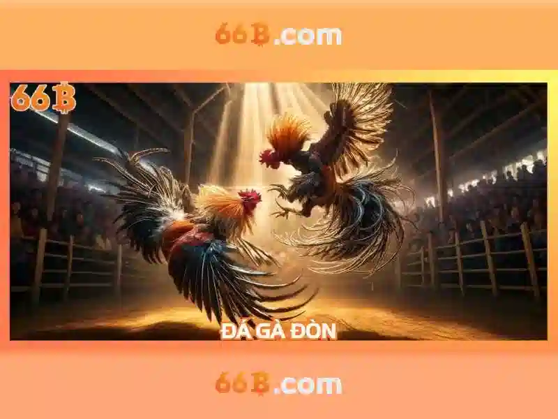 Cấu trúc và cơ chế hoạt động của 66b