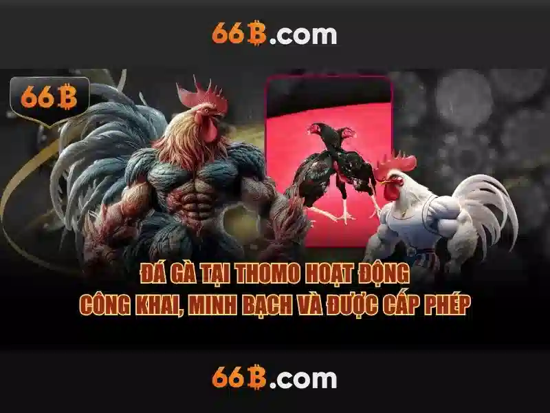 Dữ liệu huấn luyện và hiệu suất