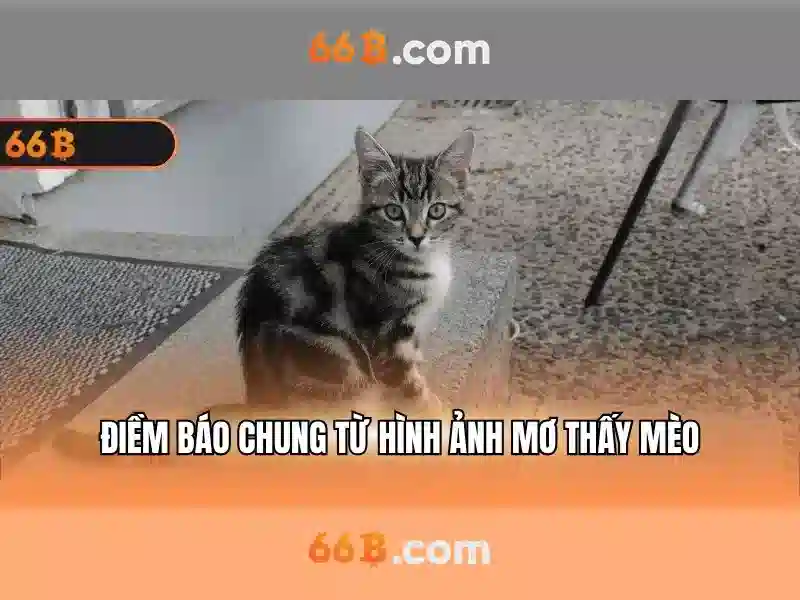 66B: Khám phá một mô hình ngôn ngữ lớn với 66 tỷ tham số