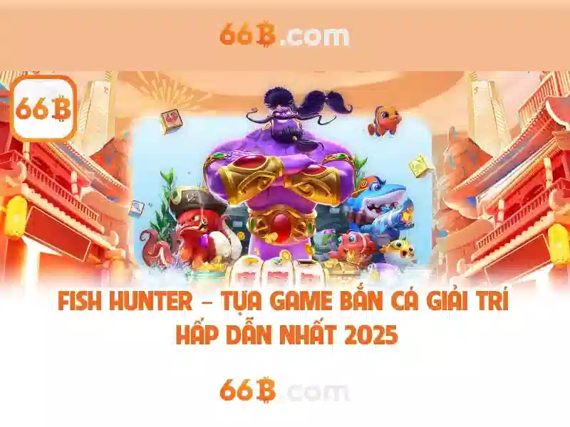 Tổng quan về 66B và vị thế của nó