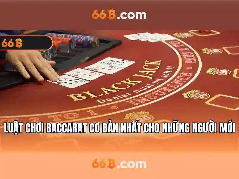 66b là gì? 66b là gì?