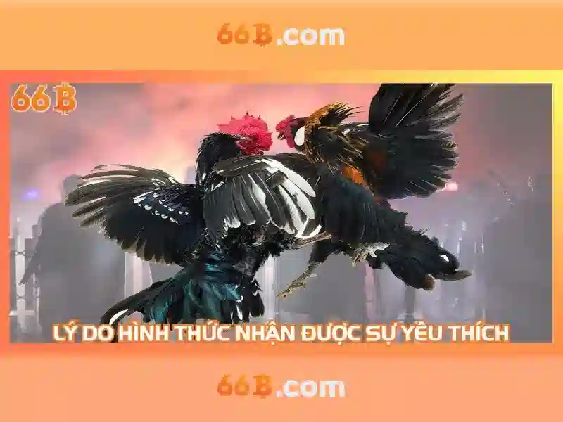 66b: Một khía cạnh công nghệ