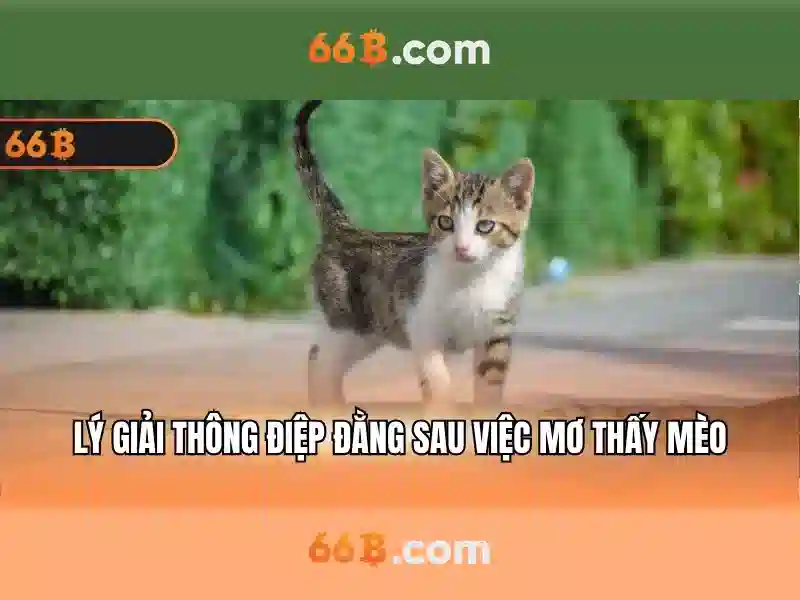 Kiến trúc và kích thước