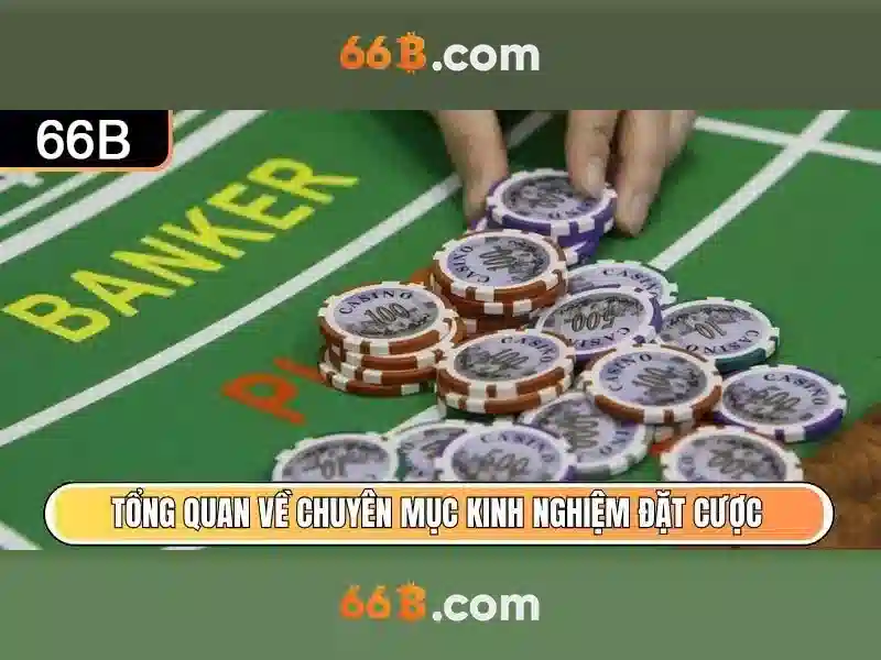 Ứng dụng thực tế của 66b