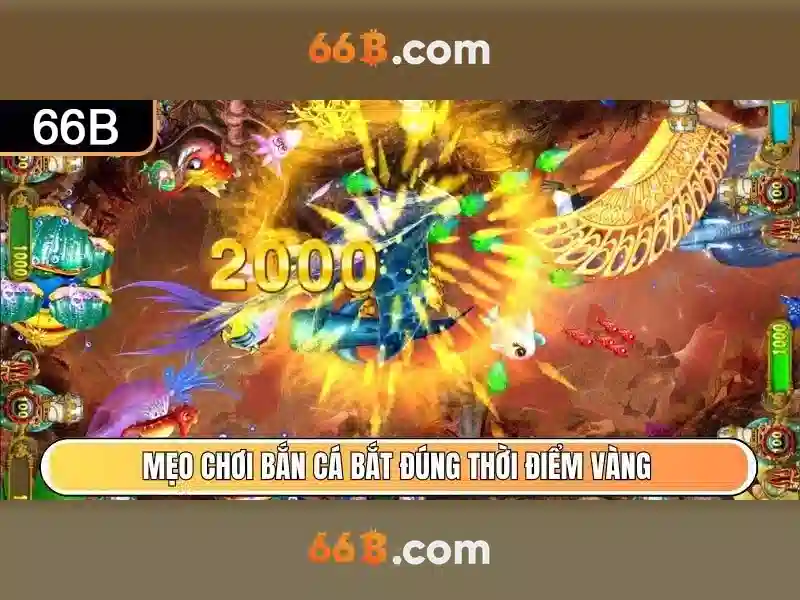 66b: một cái nhìn toàn diện