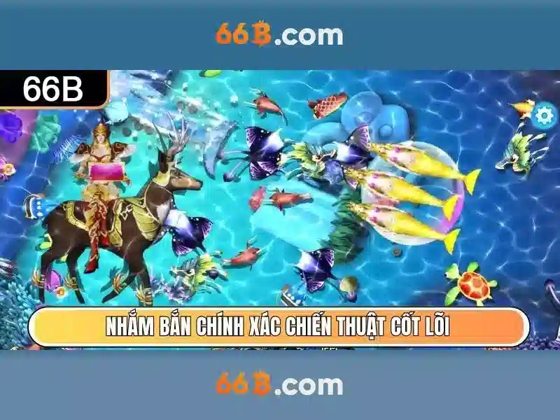 66b và hành trình khám phá