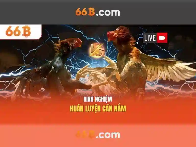 Mẹo chơi bắn cá 3 cây dễ ăn tiền nhà cái