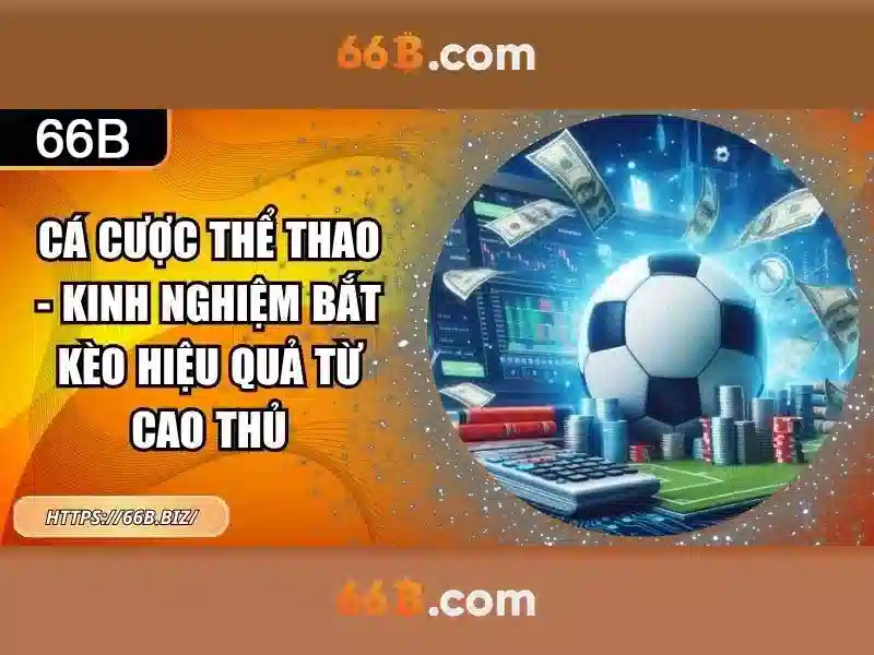 Kết luận Kết luận