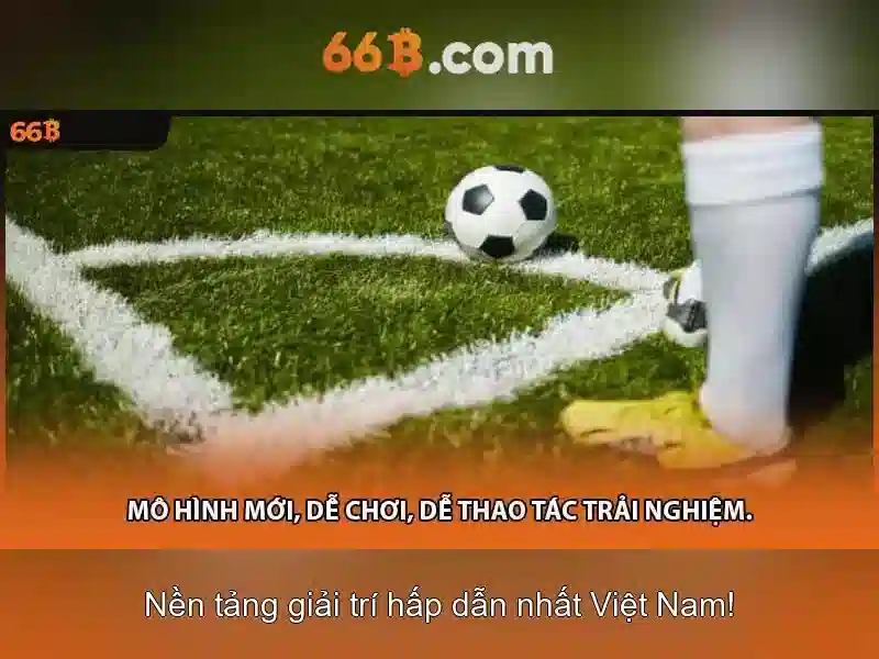 Cấu trúc và quy mô Cấu trúc và quy mô