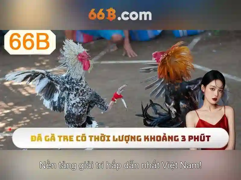 Kết cấu mô hình và cách huấn luyện