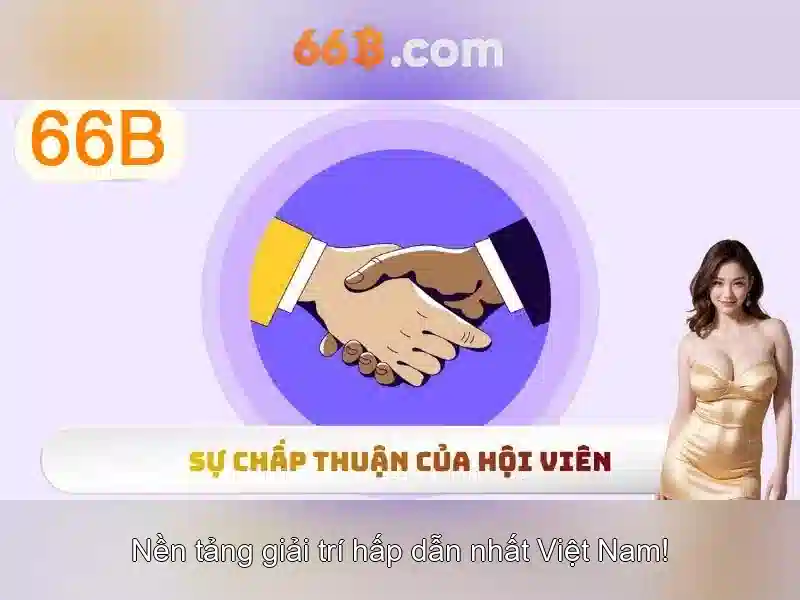 66b là gì?