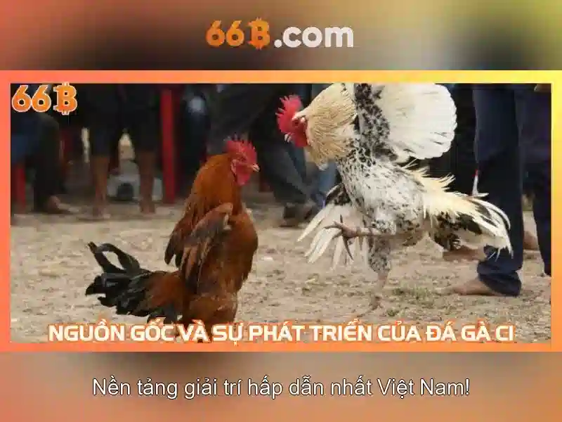 Giới thiệu về 66B Giới thiệu về 66B