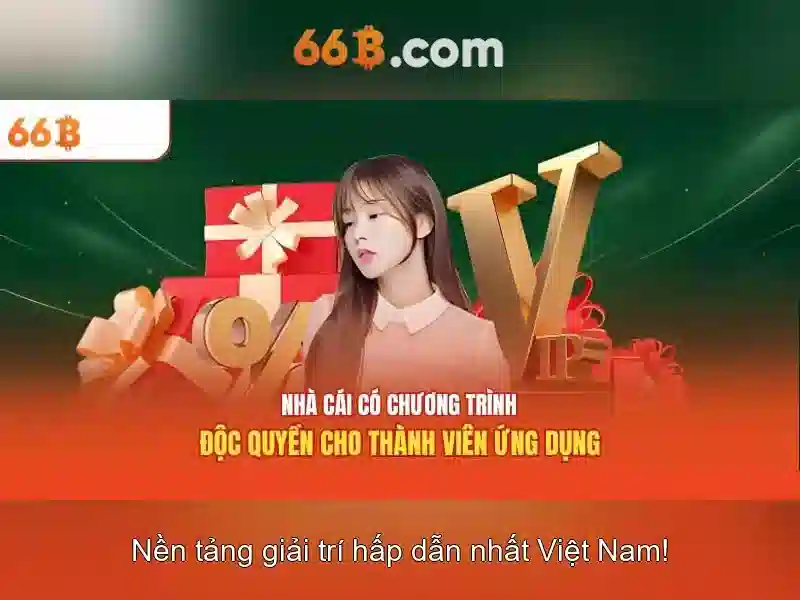Giới thiệu về 66B