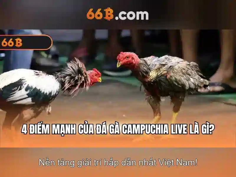66B là gì và vai trò của nó trong trí tuệ nhân tạo