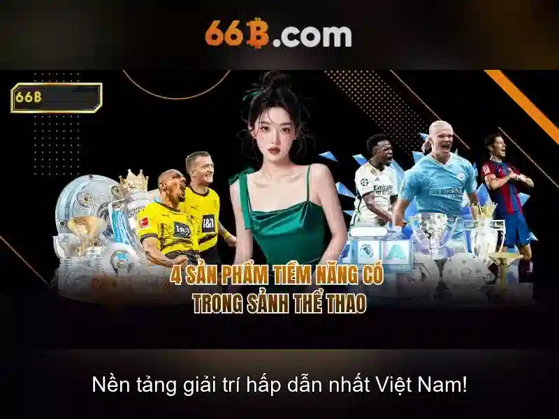 Khái niệm về 66B Khái niệm về 66B