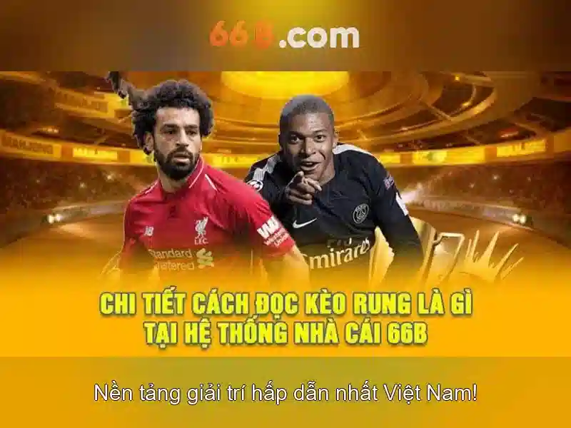 '66b và những khía cạnh cơ bản'