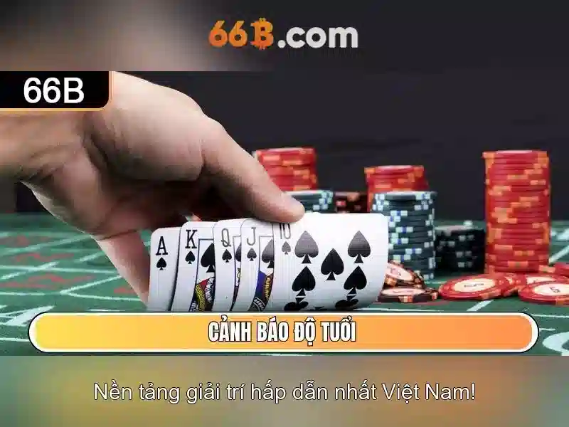 66b: một khái niệm công nghệ và dữ liệu