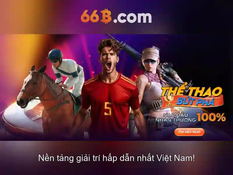 66b là gì và ứng dụng của nó