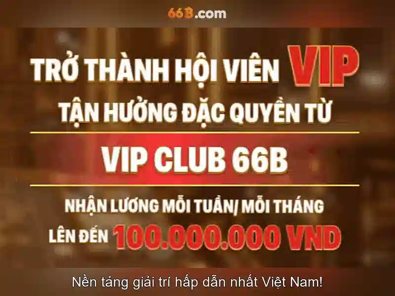 Giới thiệu về 66B