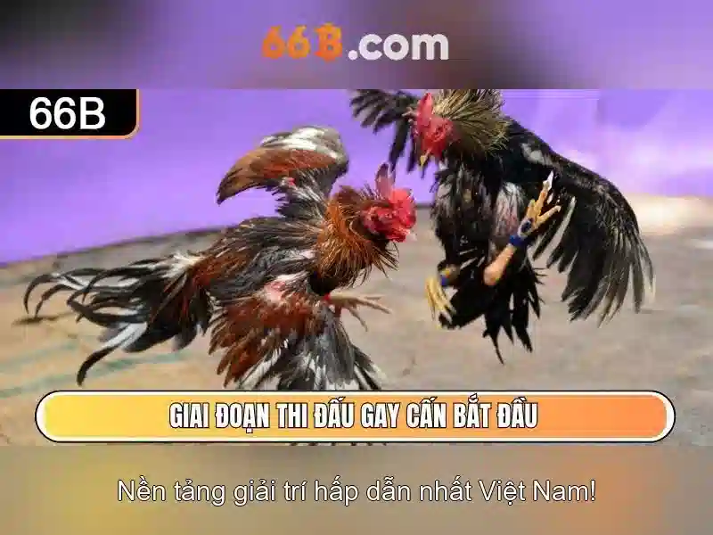 Kiến trúc và đặc điểm của 66B