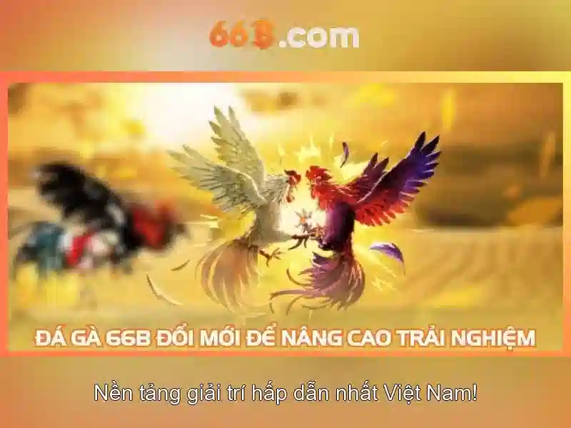 phan-tich-tran-dau-01