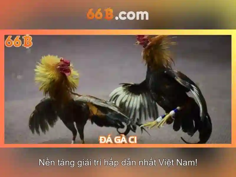 66b: một mô hình ngôn ngữ lớn và những ảnh hưởng của nó