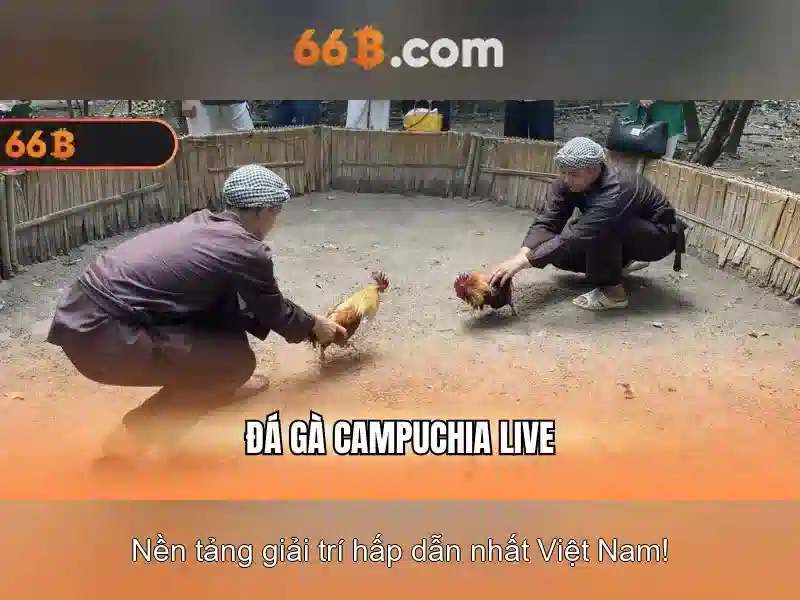 66b: Tầm quan trọng và Ứng dụng trong AI