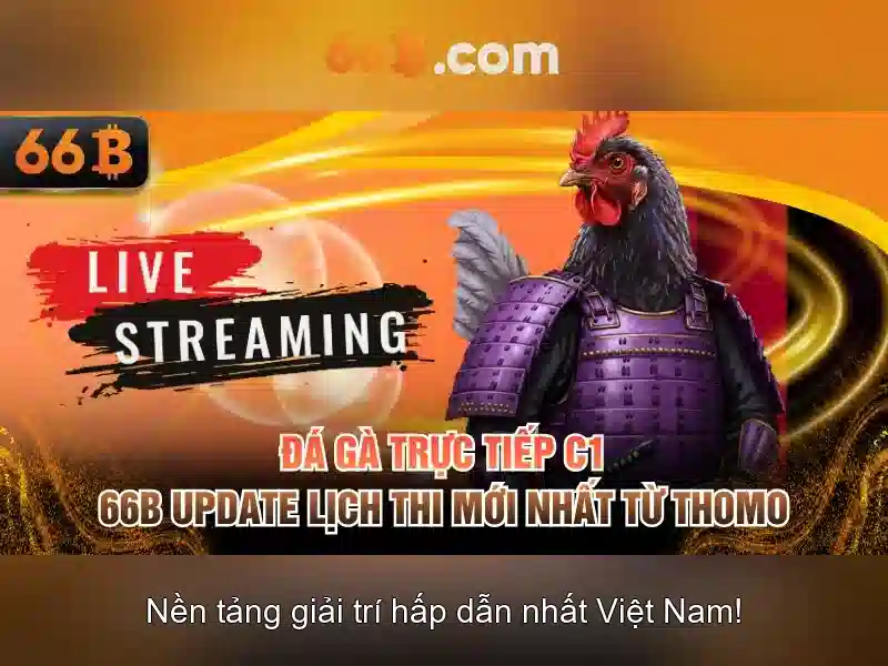 Cách hoạt động của 66B trong ứng dụng điện tử Cách hoạt động của 66B trong ứng dụng điện tử