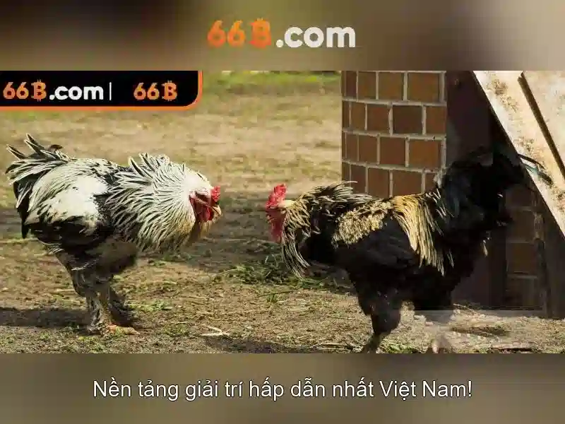 66B: Mô hình ngôn ngữ lớn 66 tỷ tham số và tác động