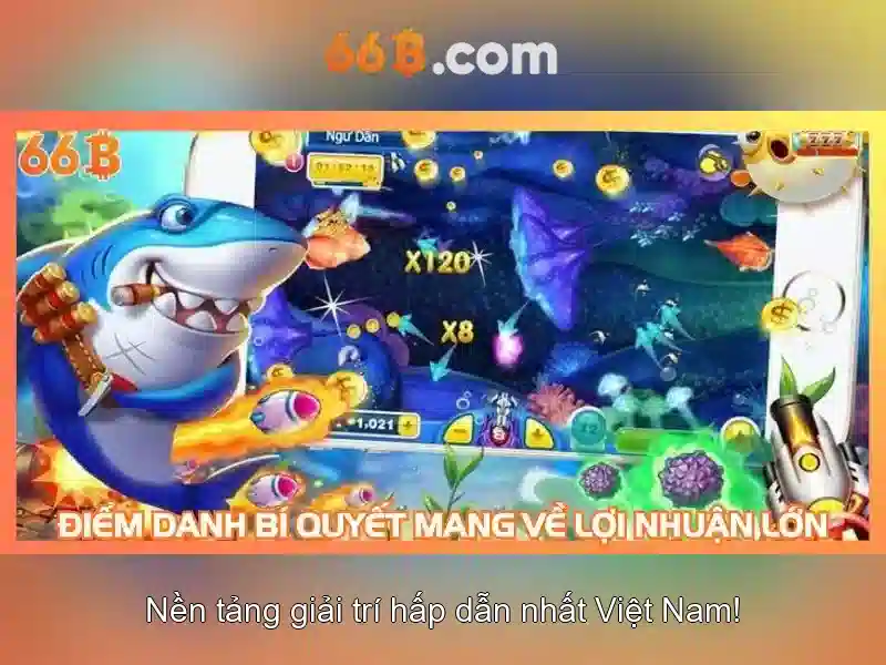 Khái niệm cơ bản về 66B Khái niệm cơ bản về 66B