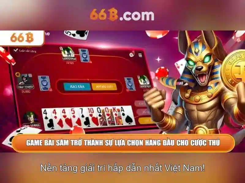 66b là một khái niệm trong công nghệ