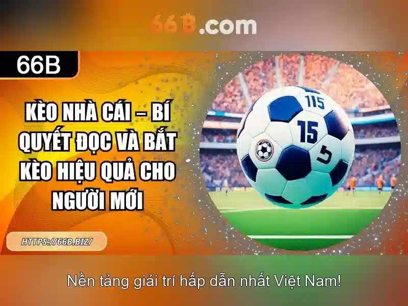 Giới thiệu về 66b Giới thiệu về 66b