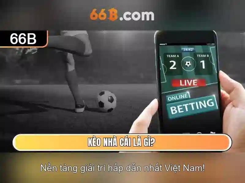 Kích thước và cấu trúc của 66B