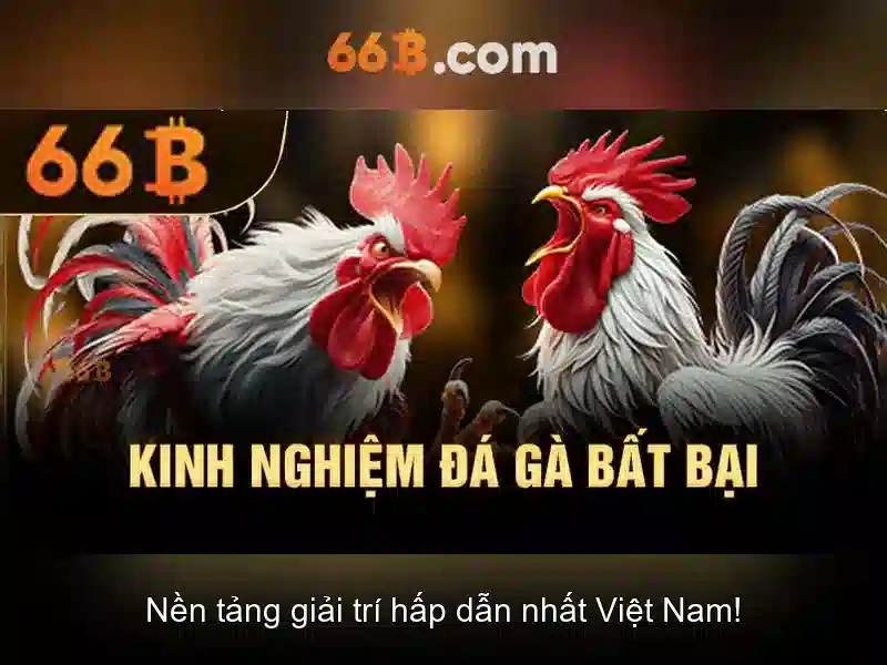 Kiến trúc và quy mô của 66b
