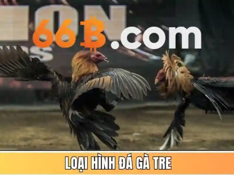 Ứng dụng thực tiễn của 66b trong ngành