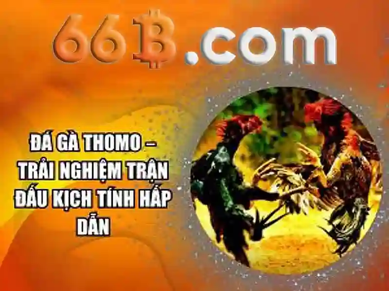 Nguồn gốc và ý nghĩa Nguồn gốc và ý nghĩa