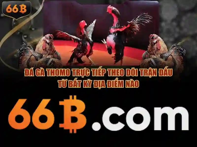 Đánh giá và tương lai Đánh giá và tương lai
