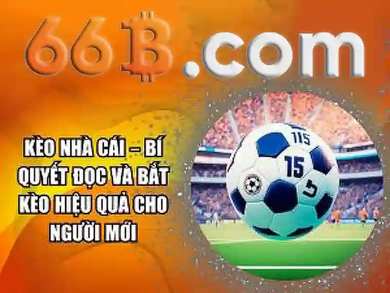 Ứng dụng phổ biến Ứng dụng phổ biến