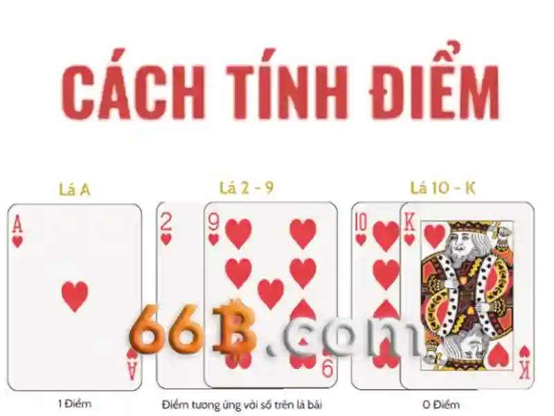 Cấu trúc và quy mô của 66B